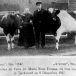 Titte de Vries